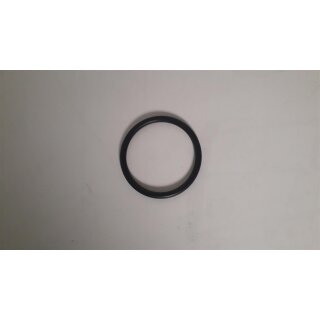 O-Ring Treiber CNW29-70  Pos. 113.1